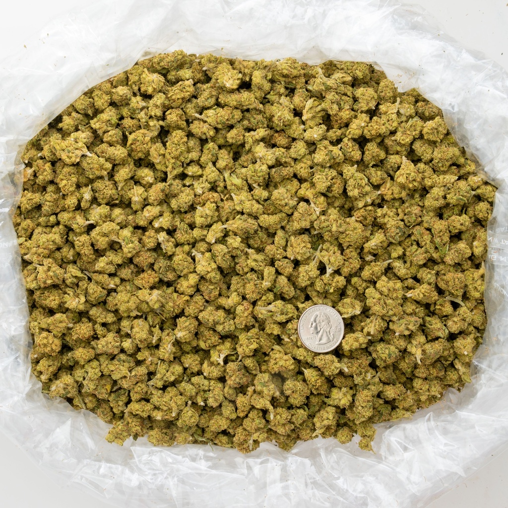 Hell's Angel OG Smalls