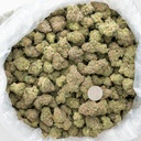 Stardawg Guava Indoor