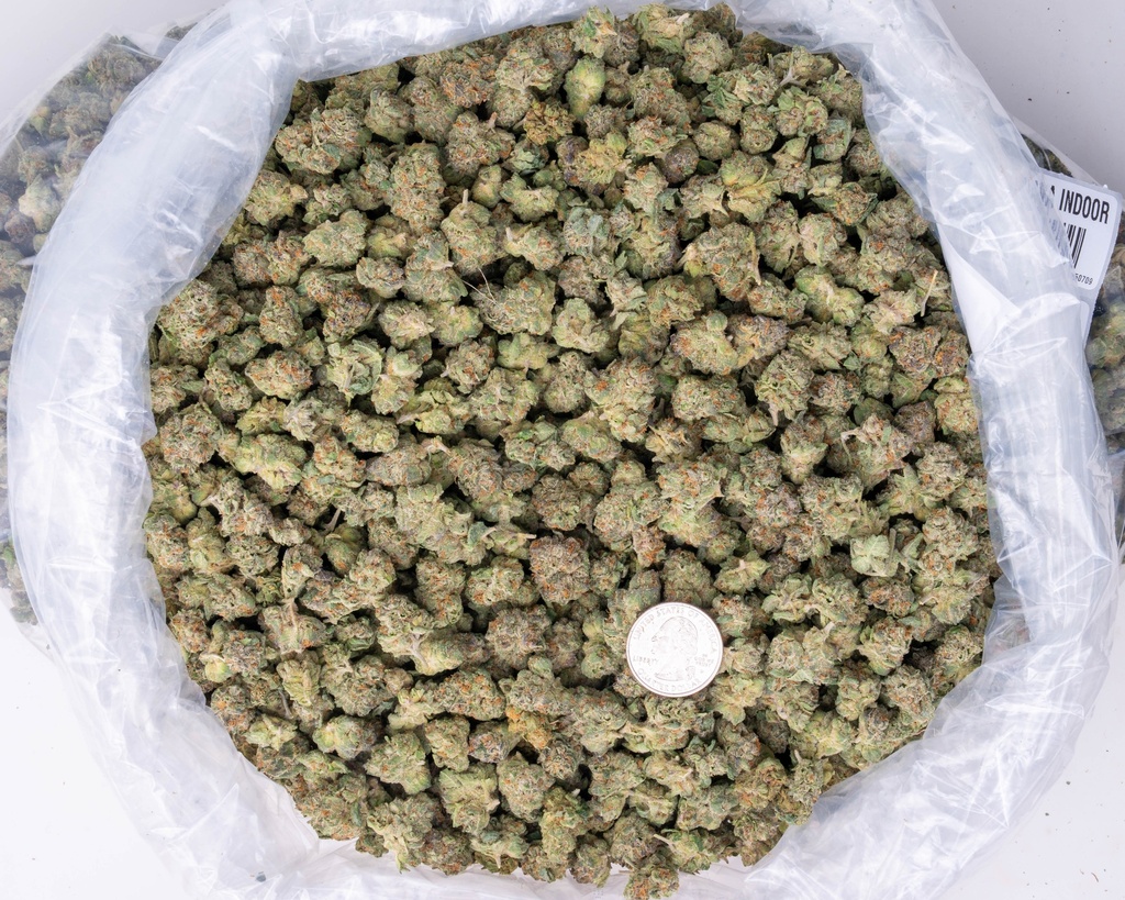 Stardawg Guava Indoor Mediums