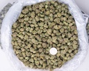 Stardawg Guava Indoor Mediums