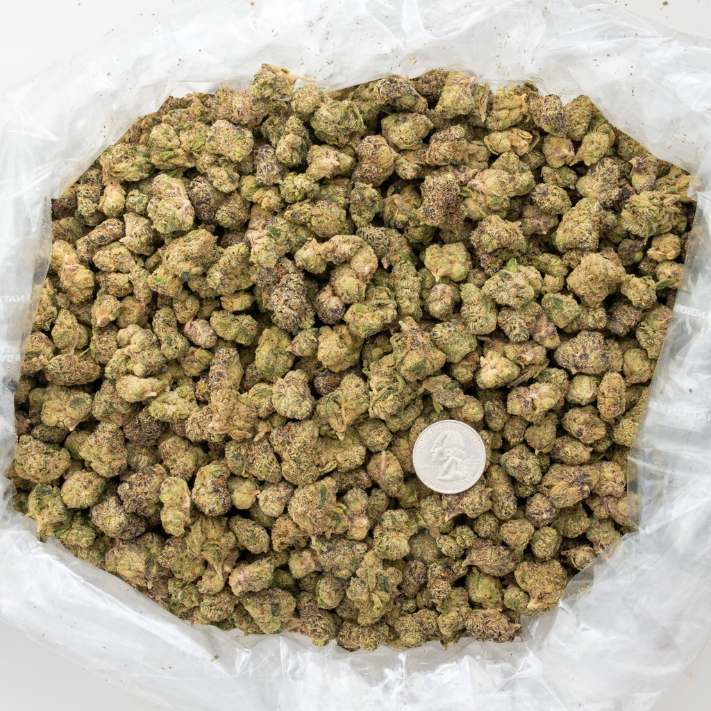 Curelato Indoor Smalls