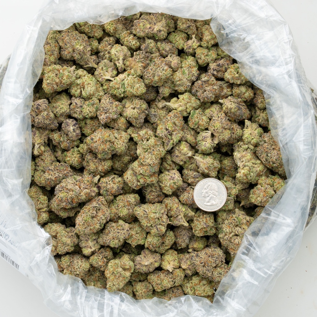Blackberry Caviar Indoor