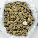 Blackberry Caviar Indoor