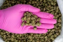 Hood Candy Indoor Smalls