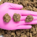 Black Domina Indoor