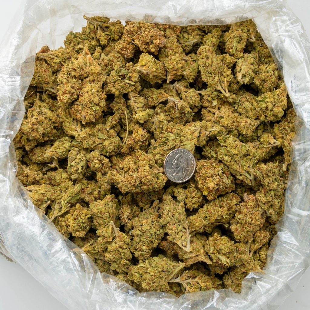 Sour Breath
