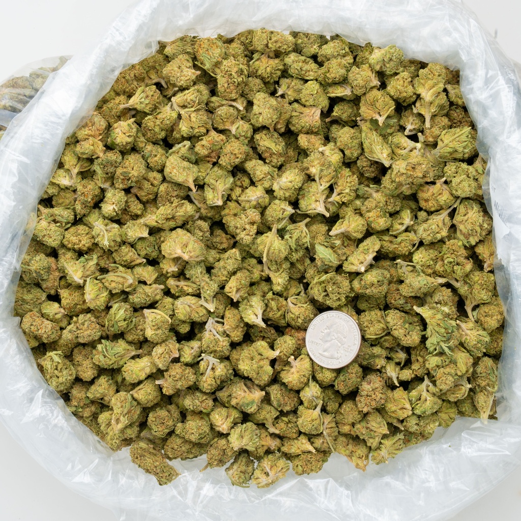 Sour Patch Candy Smalls