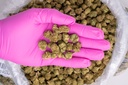 Sour Patch Candy Smalls