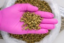 Royal Chemdawg Micros