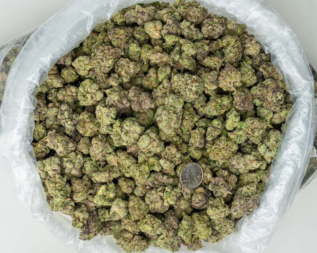 Super Bomb Indoor Mediums