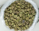 Super Bomb Indoor Mediums