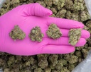Super Bomb Indoor Mediums