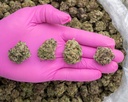 Cherry Popperz Indoor Mediums