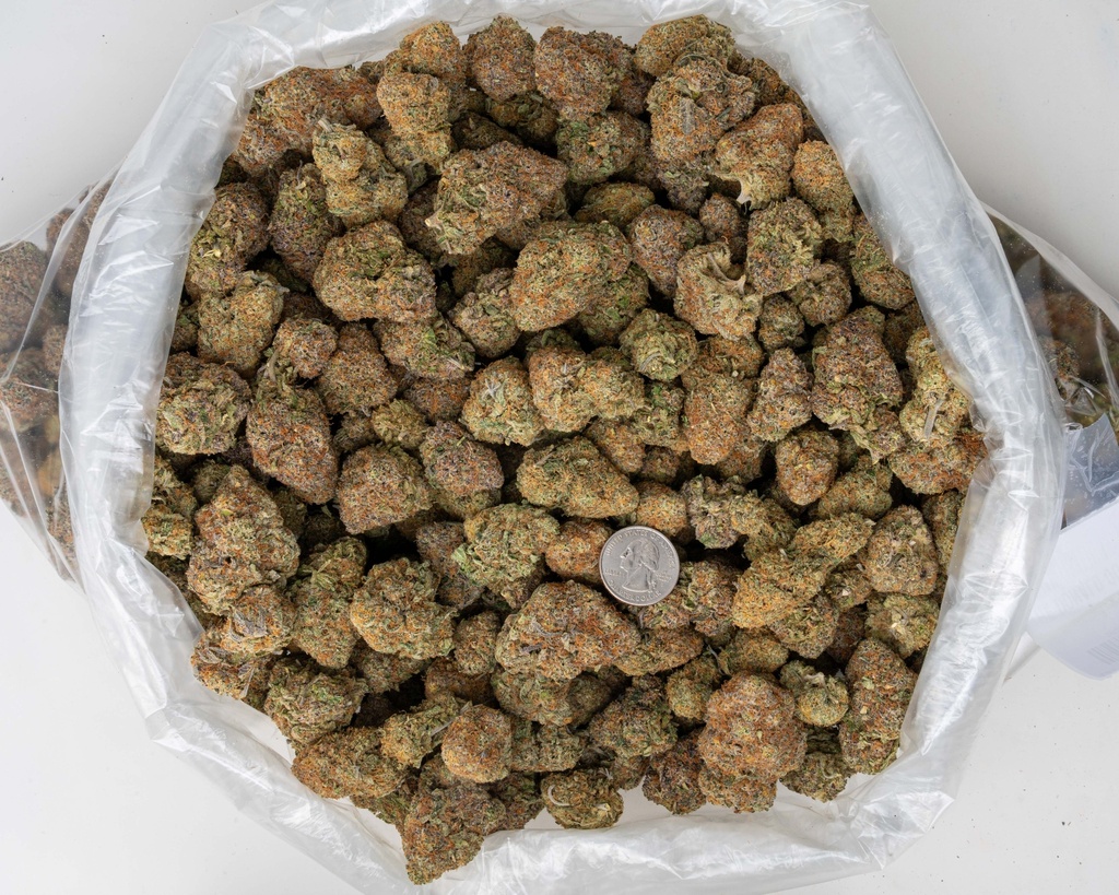 The Donald OG Indoor