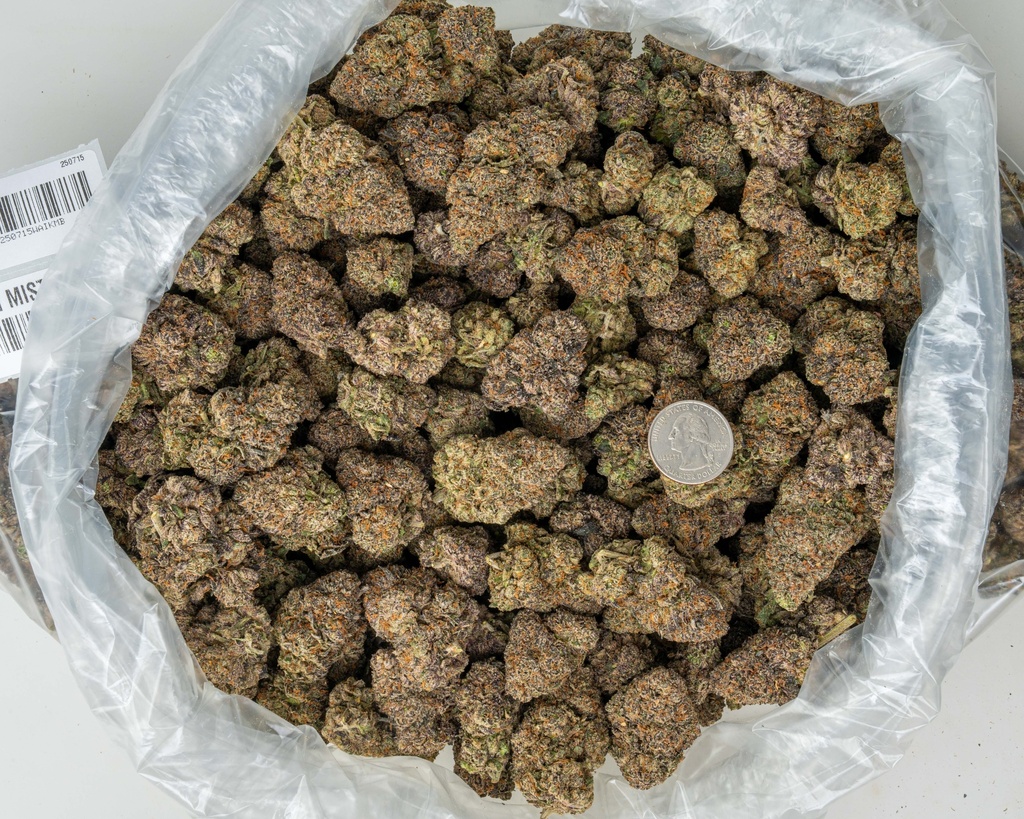 Kali Mist Indoor