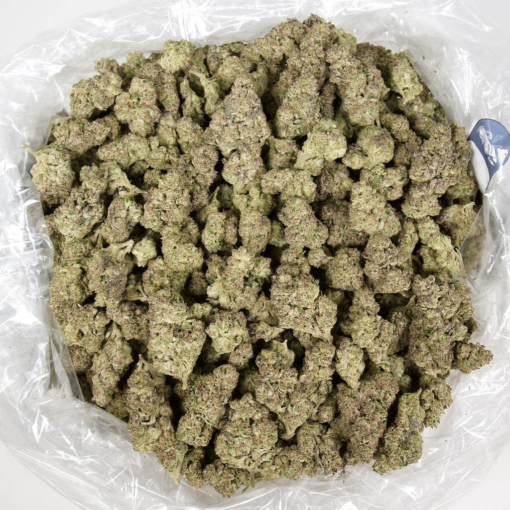 ALASKAN THUNDER FUCK