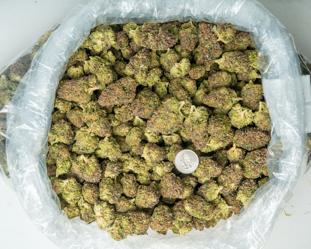 BLUEBERRY BLAST