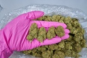 CHEMDAWG