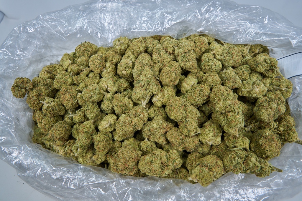 CHEMDAWG