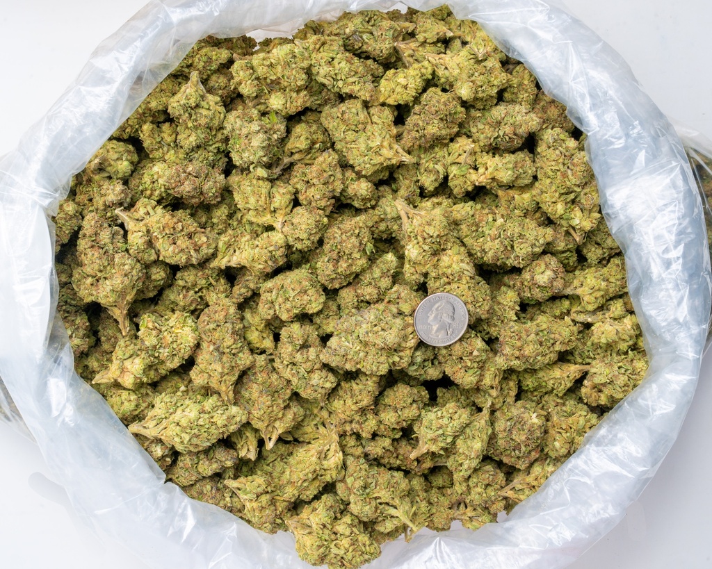 GHOST TRAIN HAZE