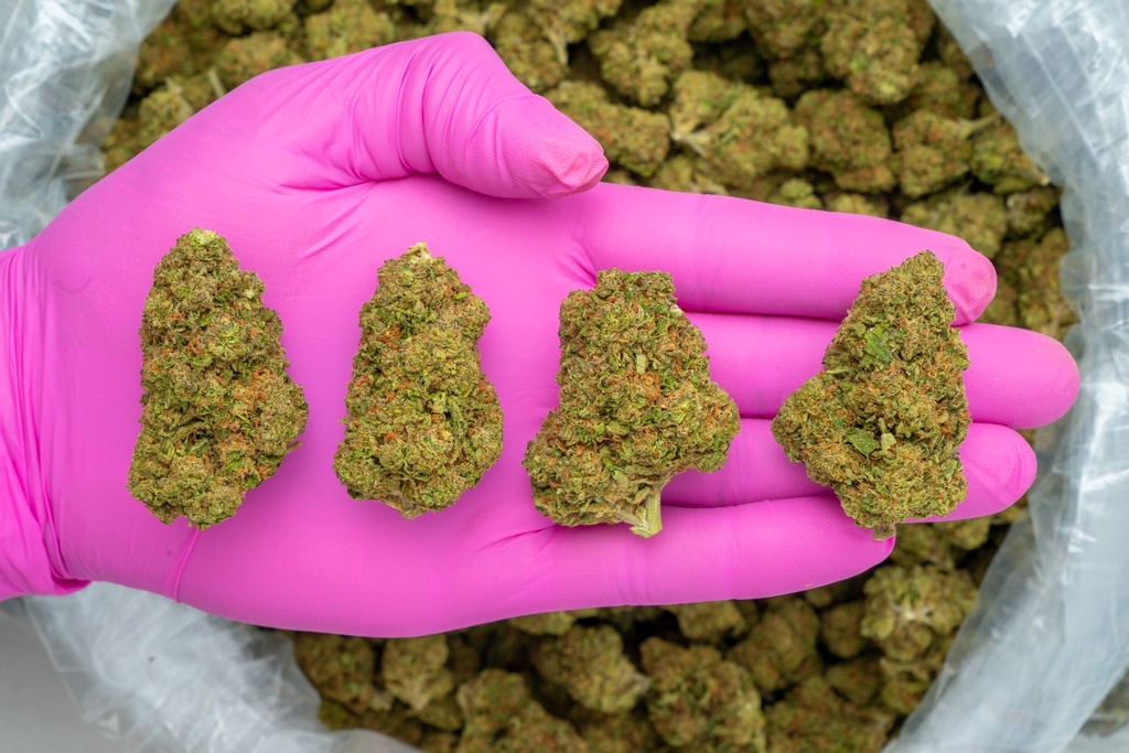 GREEN CRACK