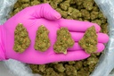 GREEN CRACK