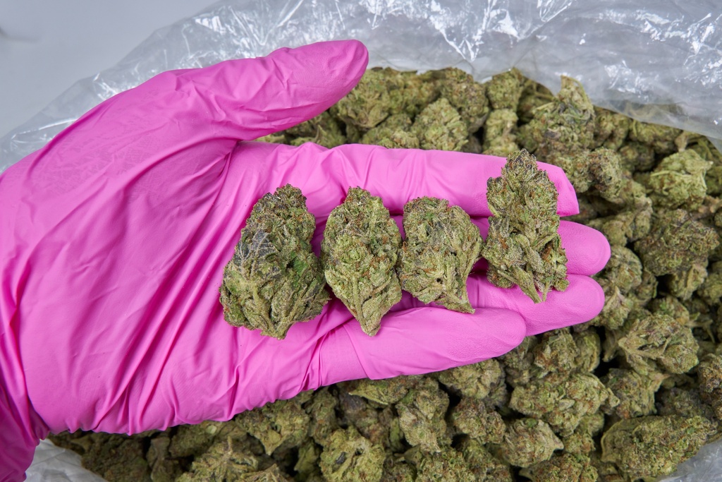 PURPLE URKLE