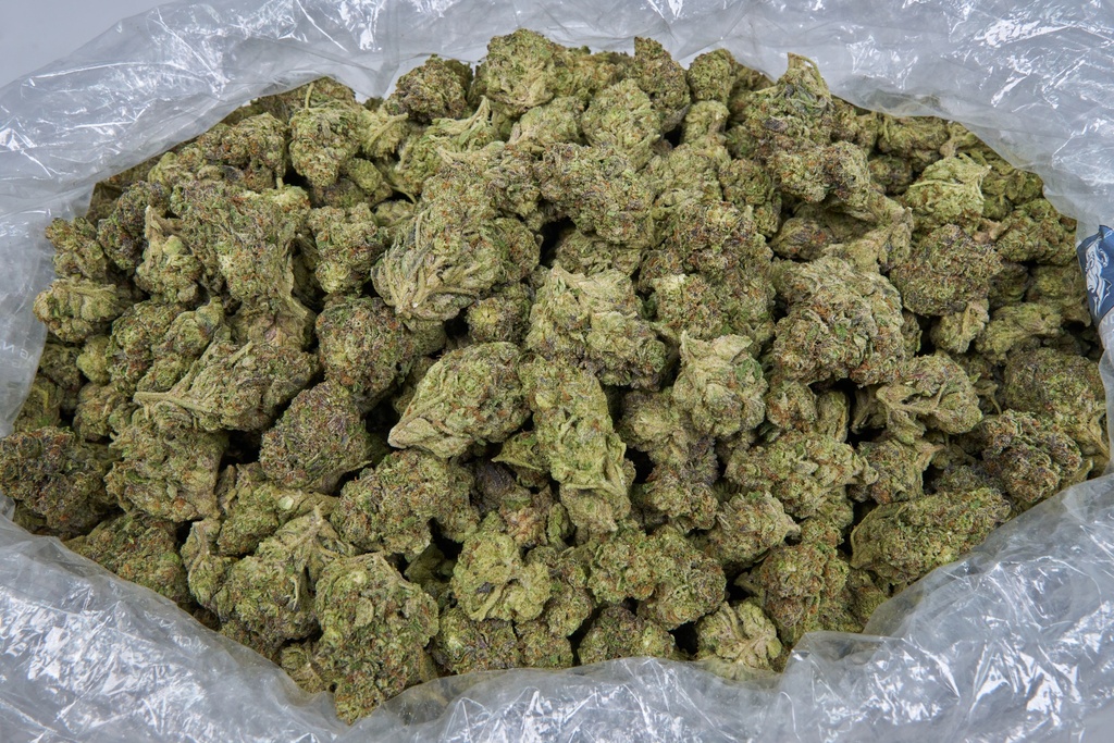 PURPLE URKLE