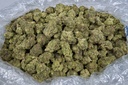 PURPLE URKLE