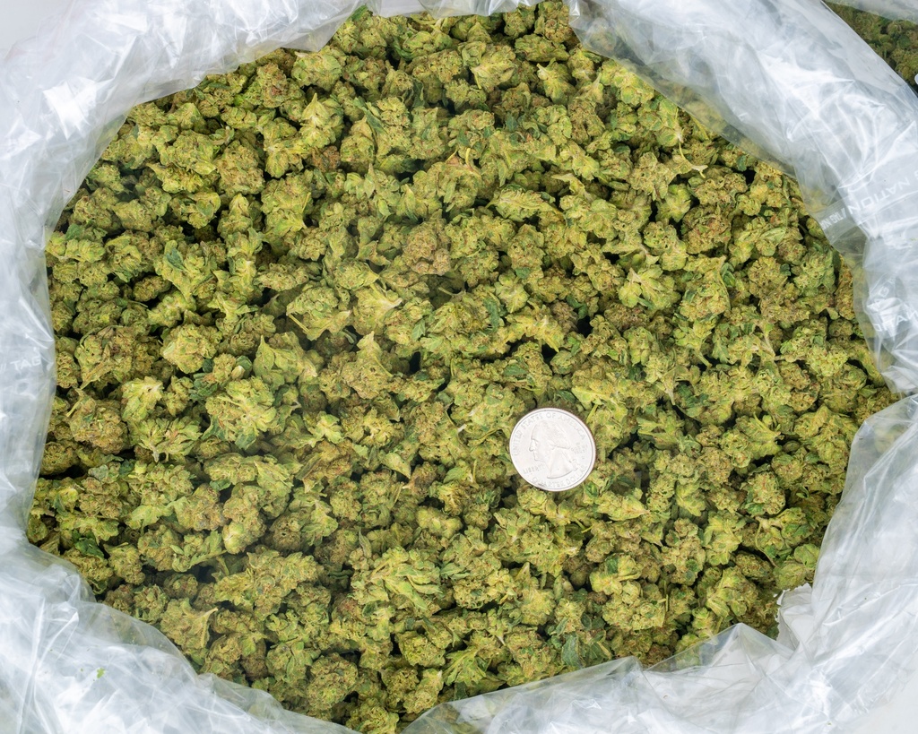 GIRL SCOUT COOKIES SMALLS