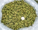GIRL SCOUT COOKIES SMALLS
