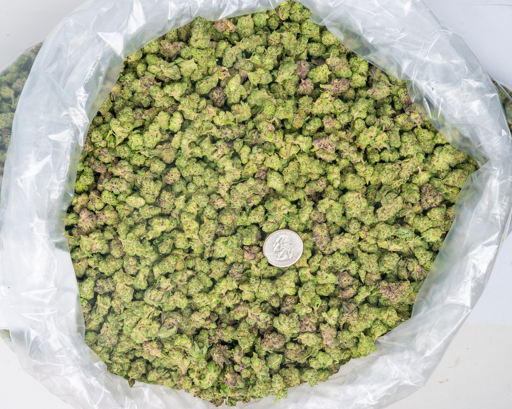 LEMON CHERRY GELATO SMALLS