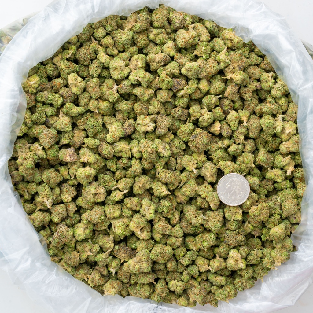 Oreoz Indoor Smalls