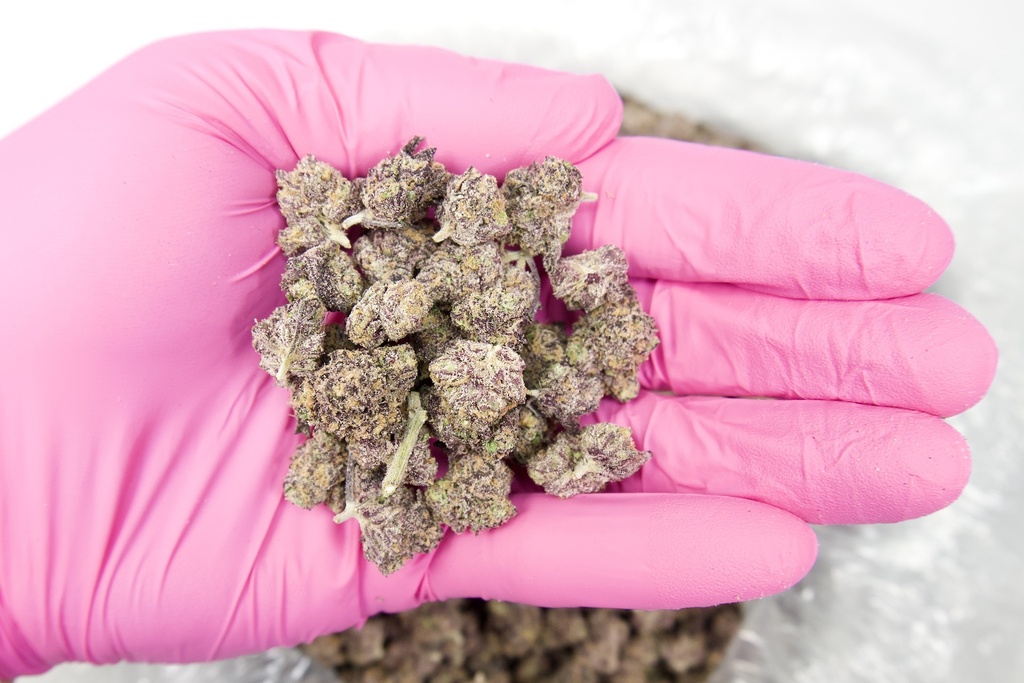 PURPLE URKLE SMALLS