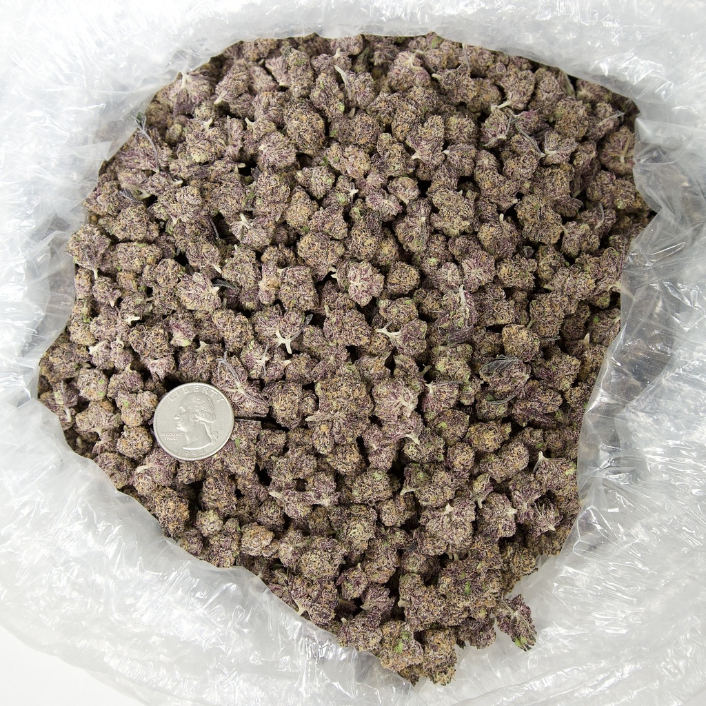PURPLE URKLE SMALLS