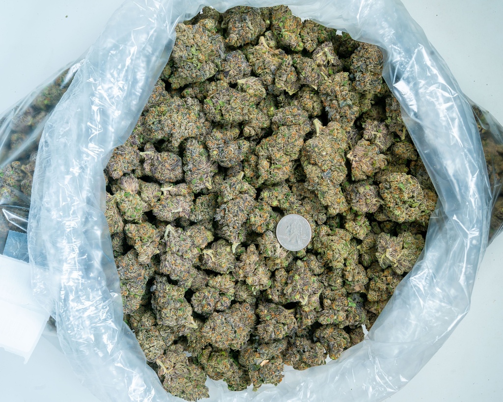 Coco-Latto Indoor