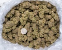 Coco-Latto Indoor