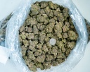 Coco-Latto Indoor