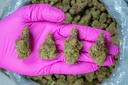 Gummiez Indoor