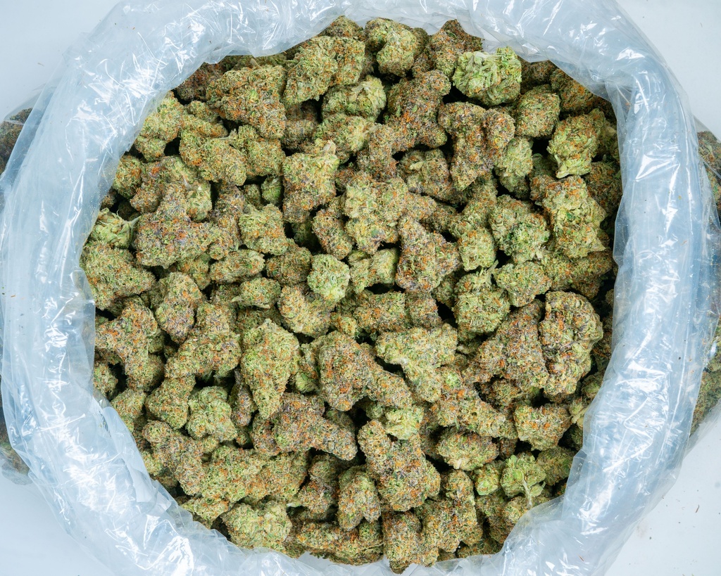 Gummiez Indoor