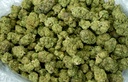 APPLE FRITTER