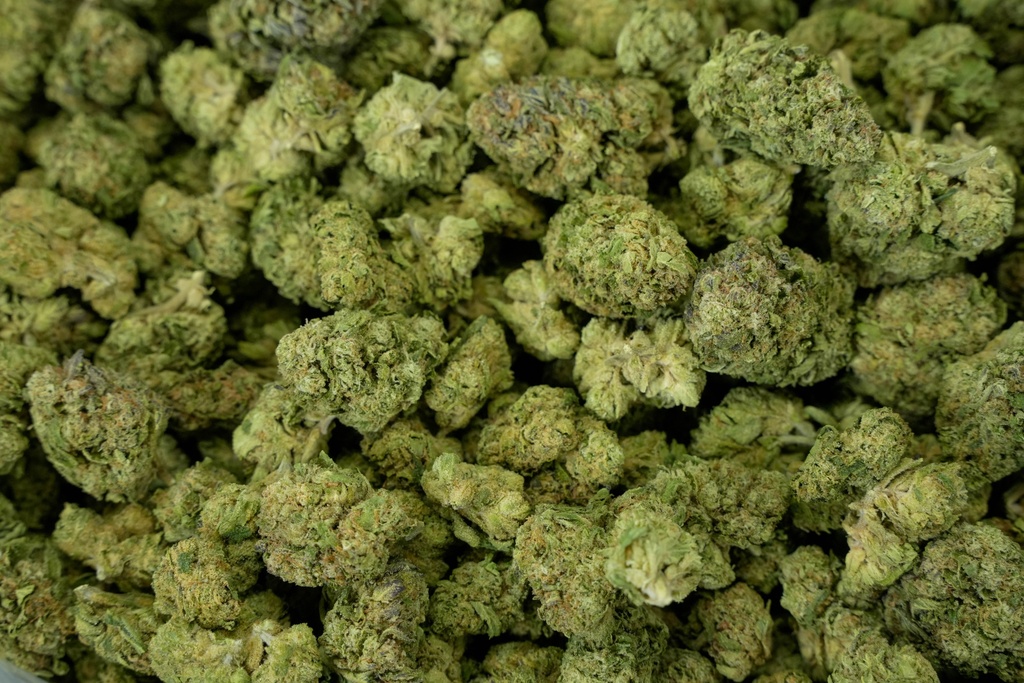 APPLE FRITTER