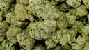 APPLE FRITTER