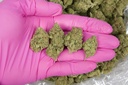 Gorilla Butter