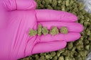 Space Kush Smalls