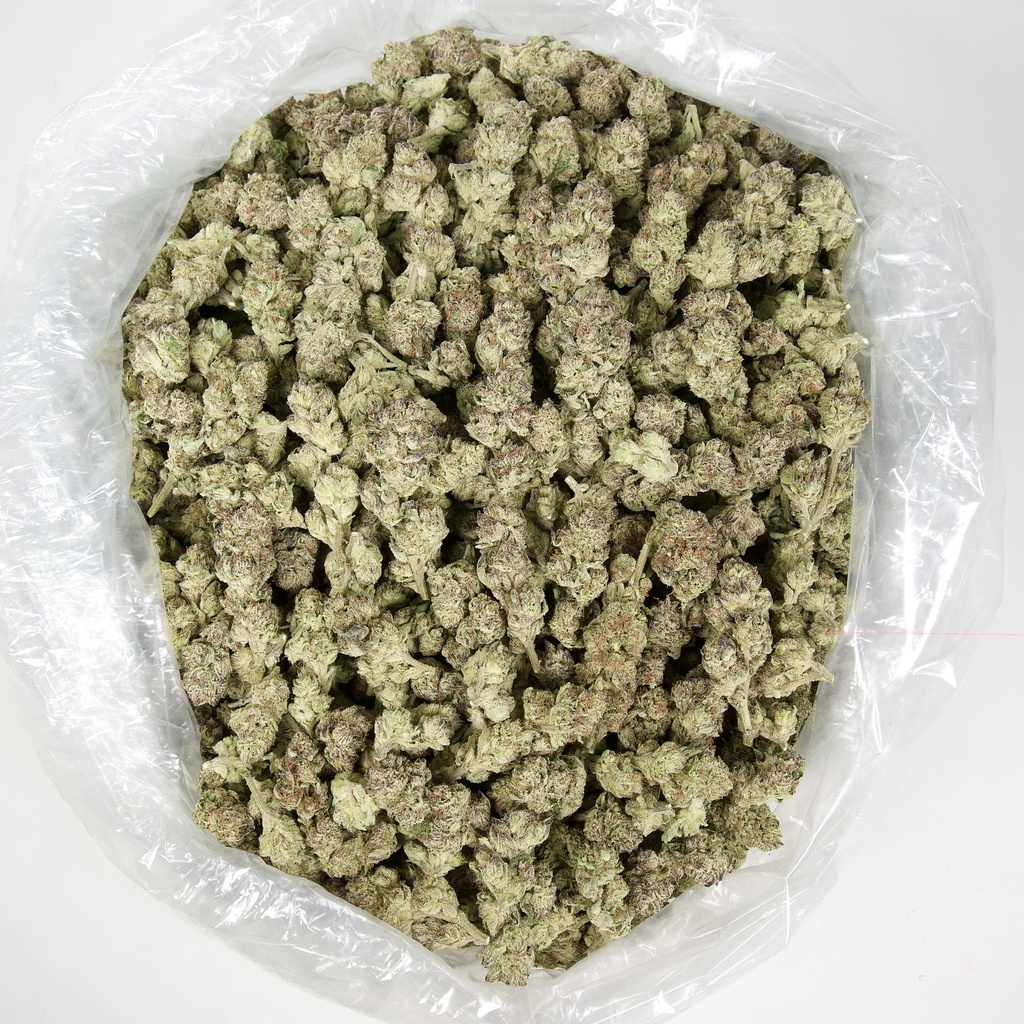 Pink Tuna
