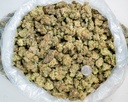 Gascotti Indoor