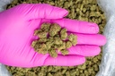Ghost Train Haze Smalls