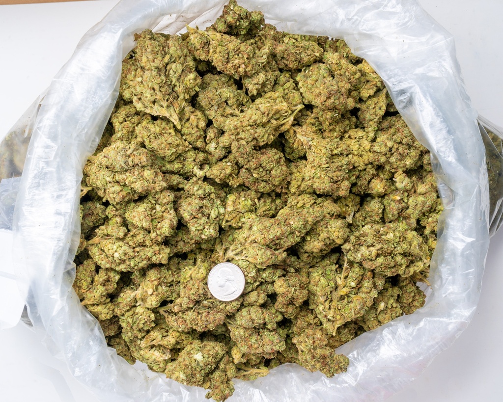 Gorilla Glue 4
