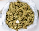 Gorilla Glue 4
